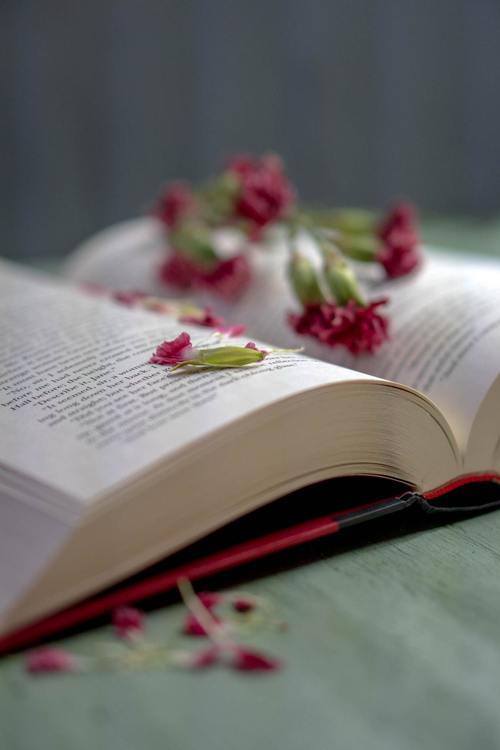 Benefits of Reading Romantic Novels - Escapetoromance.com