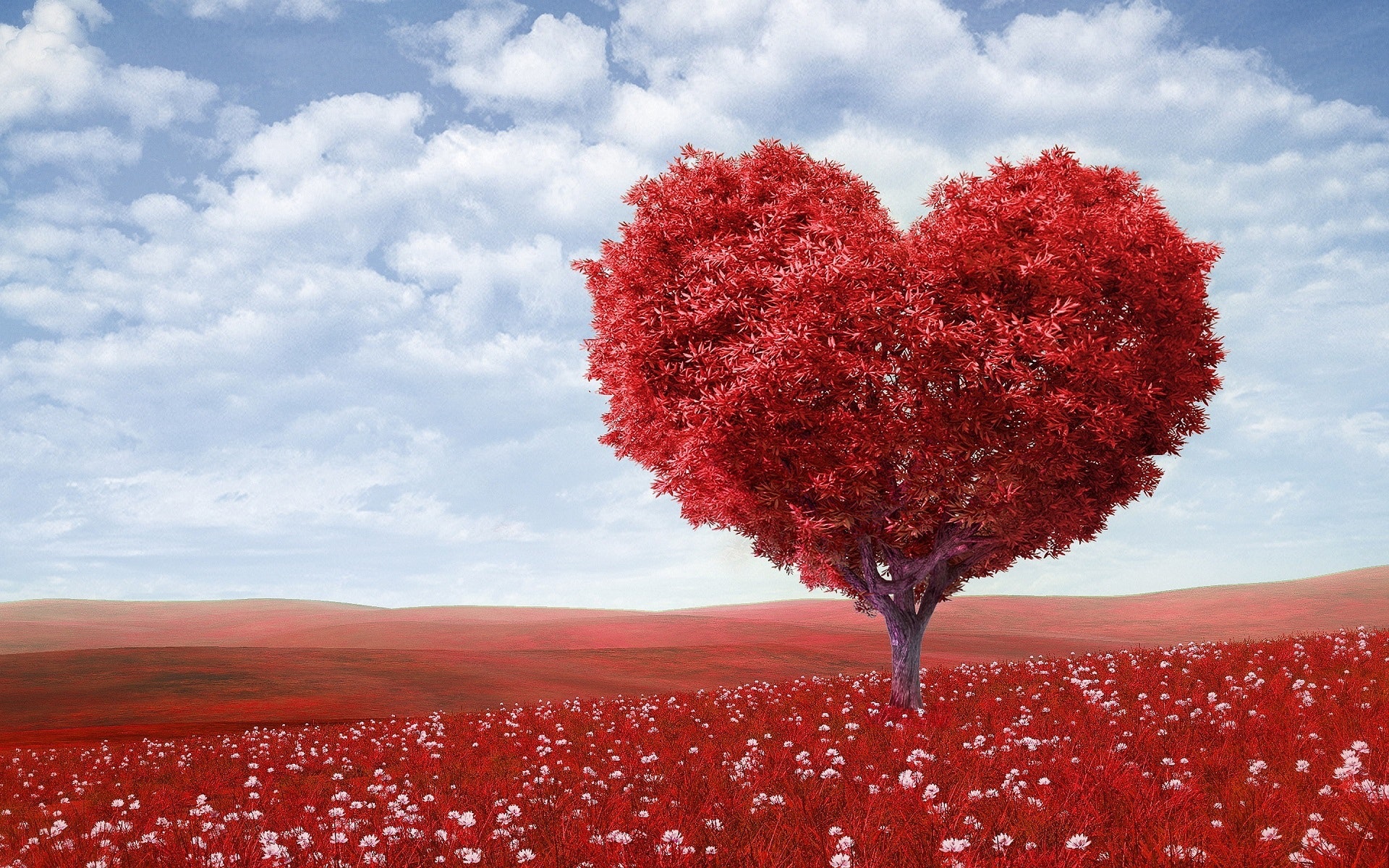 Romantic Fiction at its Best