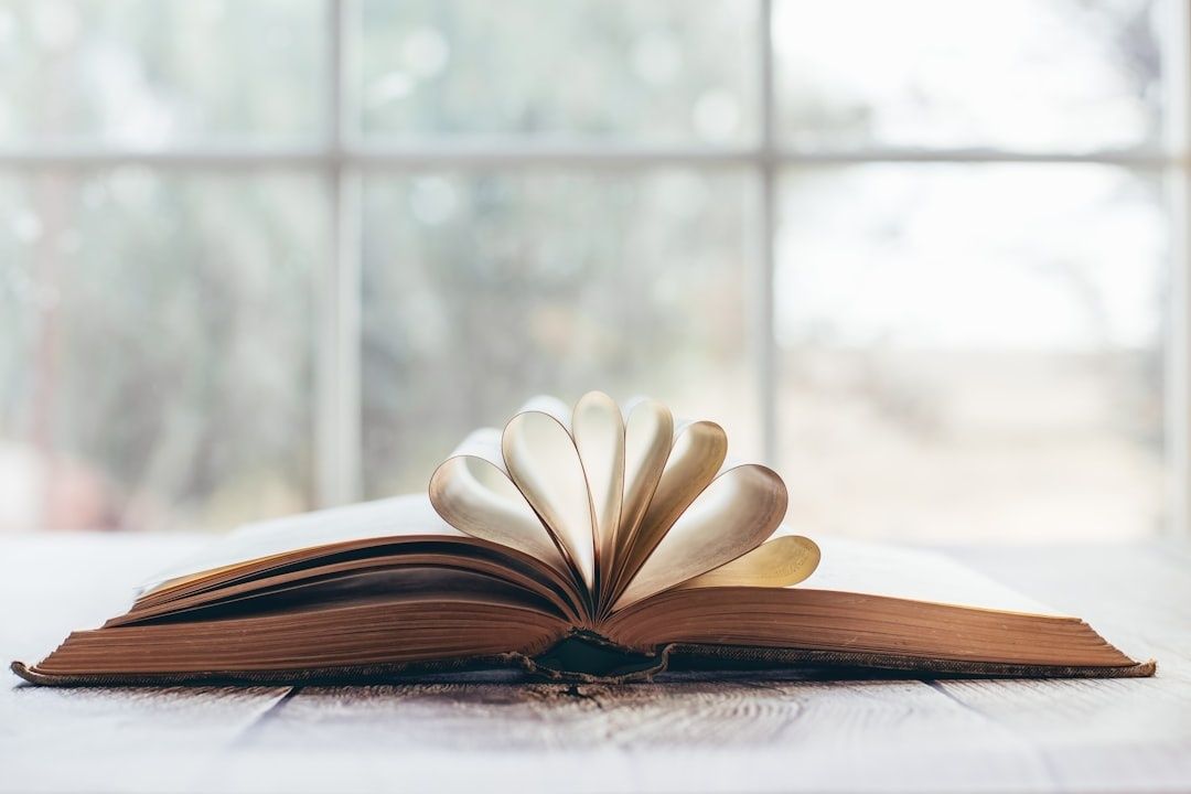 Open vintage book with pages fanned like petals in soft window light